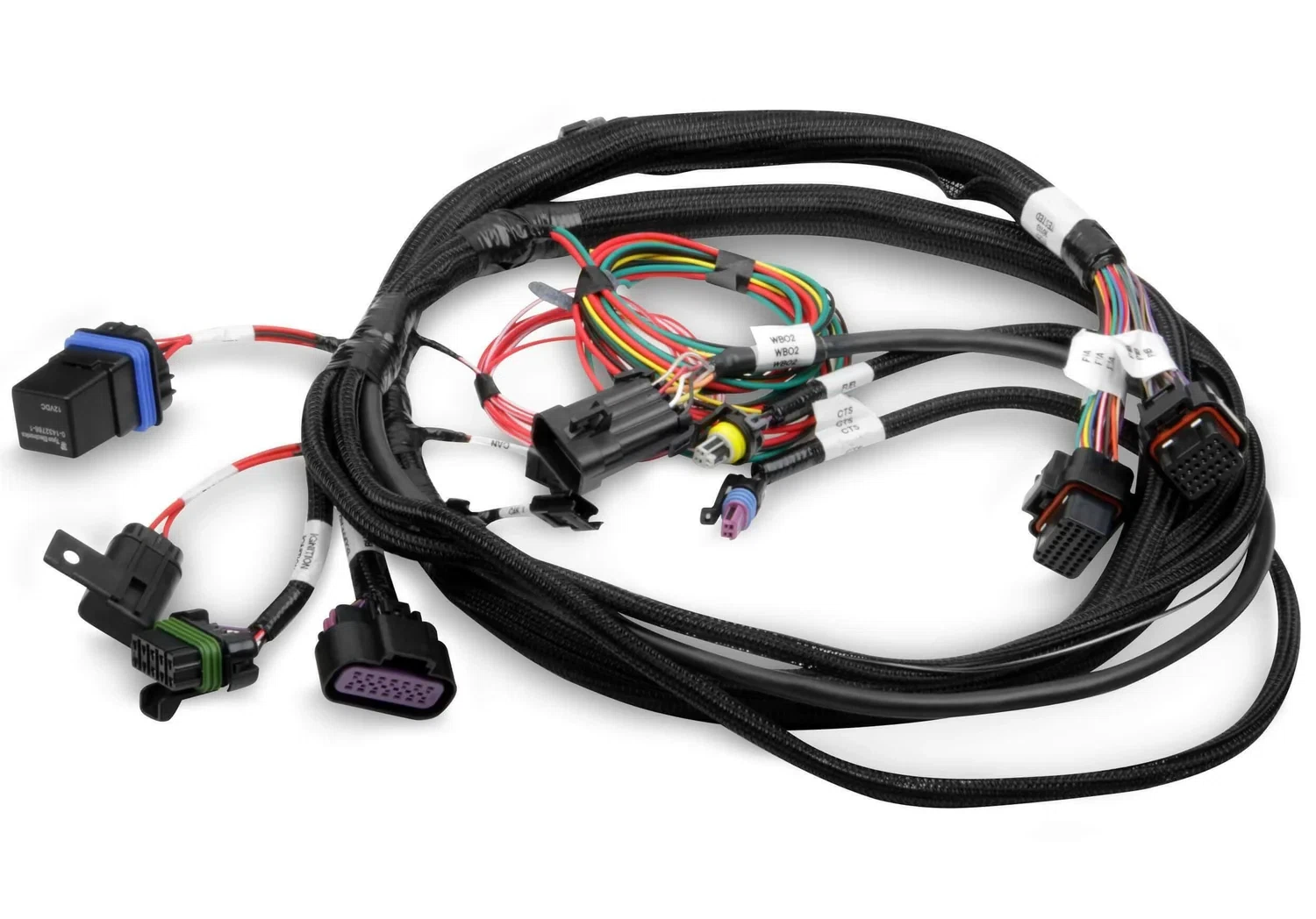 Terminator Main Harness - 558-414